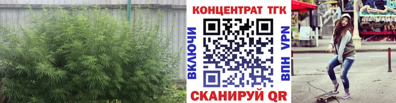 OMG рабочий сайт  Кудымкар  Дистиллят ТГК концентрат  купить наркоту 
